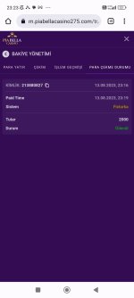 Screenshot_2023-08-13-23-23-27-076_com.android.chrome.jpg