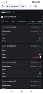 Screenshot_2023-11-19-16-43-55-200_com.android.chrome.jpg