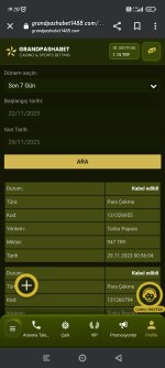 Screenshot_2023-11-29-19-20-56-463_com.android.chrome.jpg
