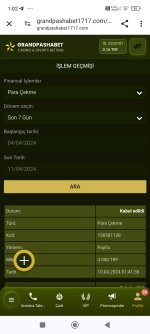 Screenshot_2024-04-11-01-02-33-538_com.android.chrome.jpg