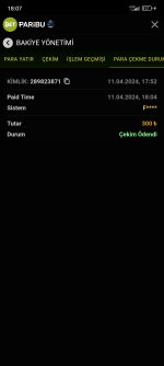 Screenshot_2024-04-11-18-07-38-667_com.sec.android.app.sbrowser.jpg