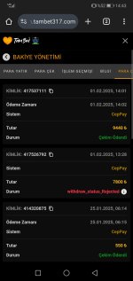 Screenshot_20250201_144326_com.android.chrome.jpg Screenshot_20250201_144326_com.android.chrome.jpg