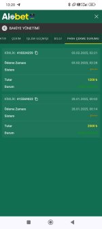 Screenshot_2025-02-03-13-20-19-214_com.android.chrome.jpg Screenshot_2025-02-03-13-20-19-214_com.android.chrome.jpg