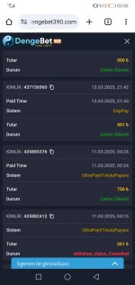 Screenshot_20250317_030017_com.android.chrome.jpg