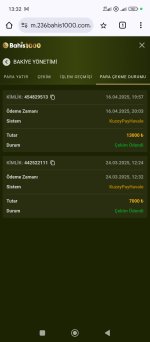 Screenshot_2025-04-17-13-32-29-193_com.android.chrome.jpg