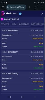 Screenshot_20250701_120500_Chrome.jpg