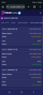 Screenshot_20250716_223308_Chrome.jpg